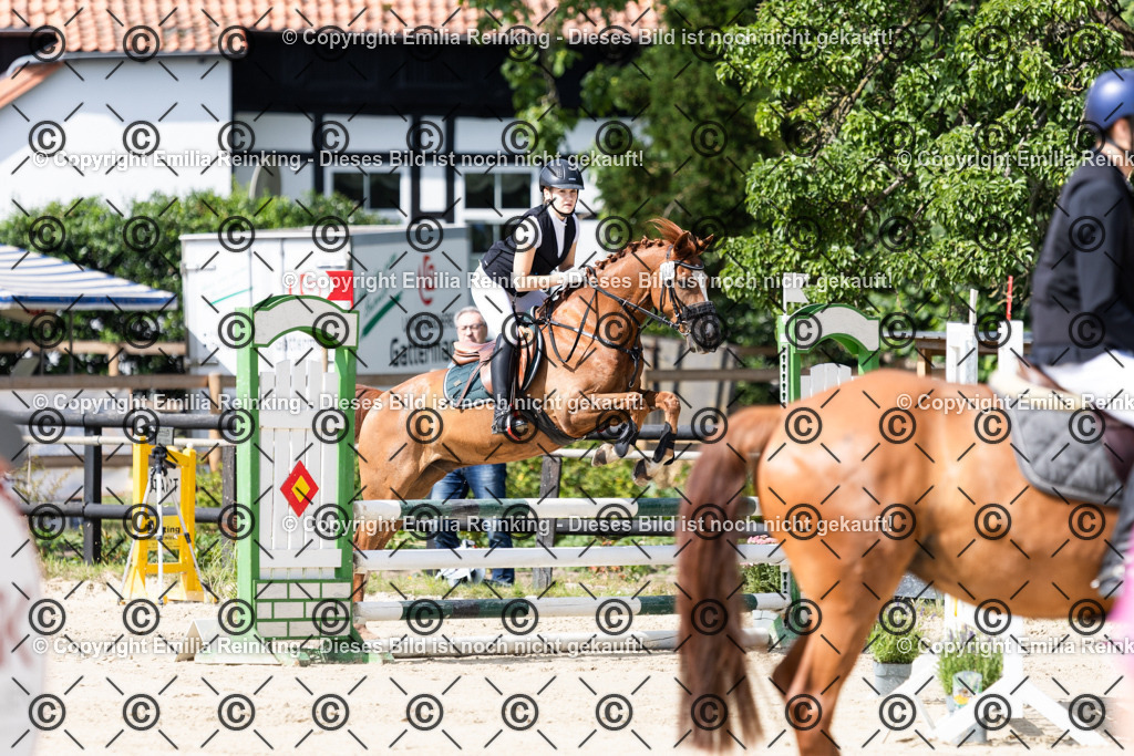 CL5A6652 | Emilia Reinking Fotografie - Realisiert mit Pictrs.com