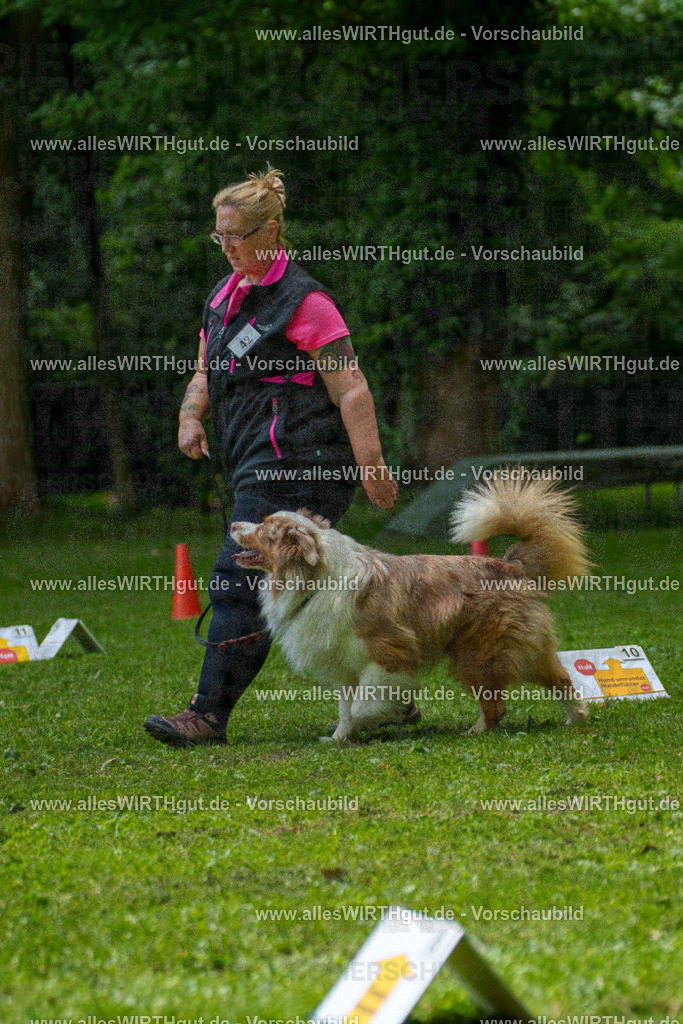 @allesWIRTHgut_Tierfotografie - www.allesWIRTHgut.de - 7R504982 | Professionelle Tierfotografie in Mönchengladbach von Daniel Wirth (allesWIRTHgut). Liebevolle & natürliche Bilder von Hunden & Katzen für unvergessliche Erinnerungen.