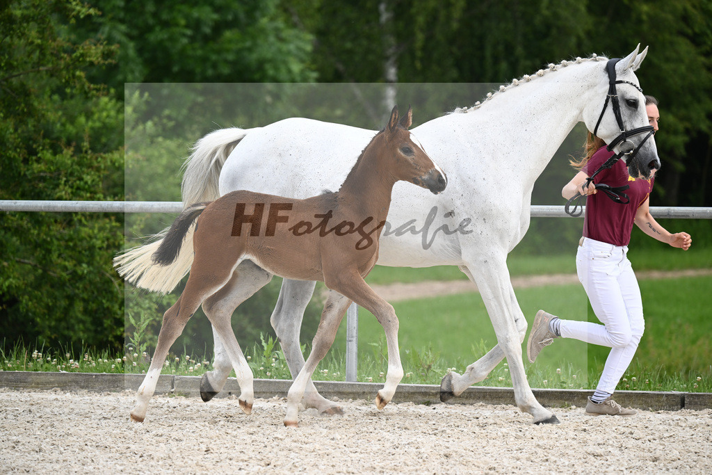 Diacord x Ciacomini_SF_Trukenbrod_20241156 | hf-fotografie - Realisiert mit Pictrs.com