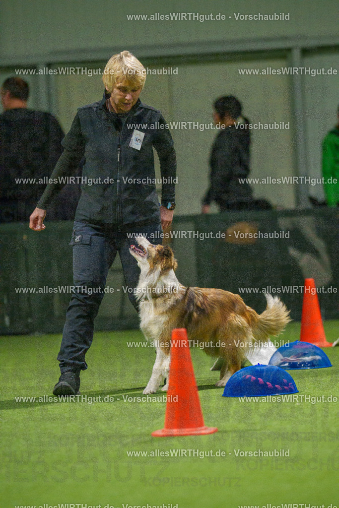 7R504367 | Professionelle Tierfotografie in Mönchengladbach von Daniel Wirth (allesWIRTHgut). Liebevolle & natürliche Bilder von Hunden & Katzen für unvergessliche Erinnerungen.
