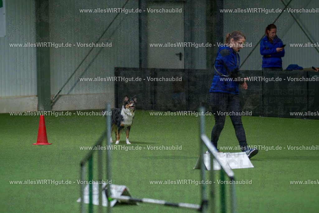 7R503168 | Professionelle Tierfotografie in Mönchengladbach von Daniel Wirth (allesWIRTHgut). Liebevolle & natürliche Bilder von Hunden & Katzen für unvergessliche Erinnerungen.