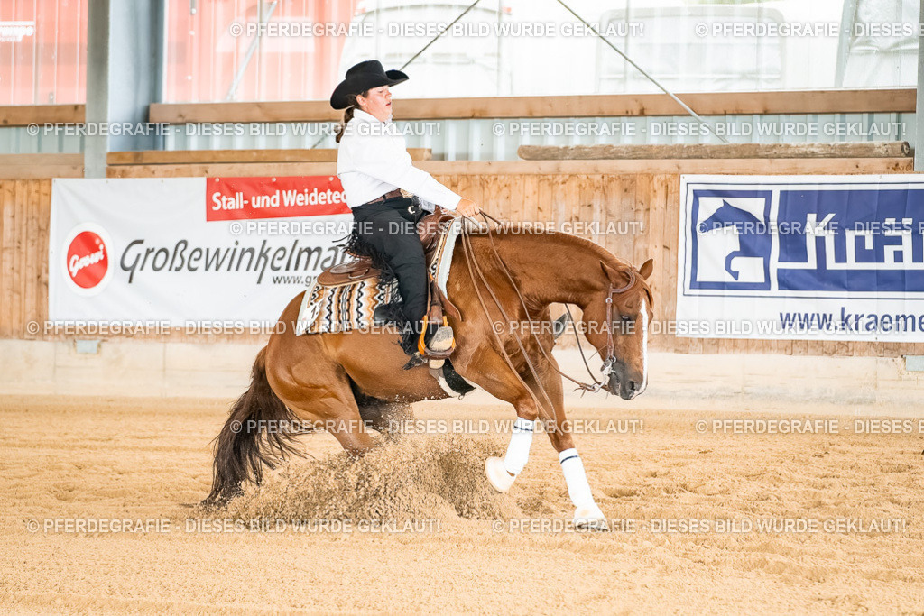 DSC02457 | Pferdegrafie