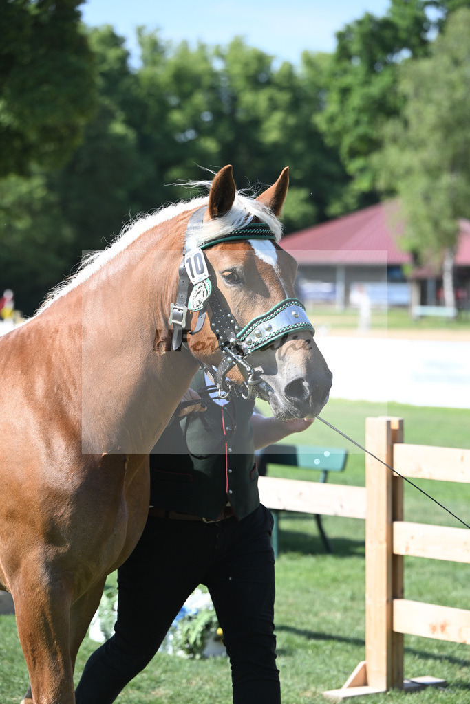 Kat-Nr. 10 Hilla_Hartl_20230140 | hf-fotografie - Realisiert mit Pictrs.com