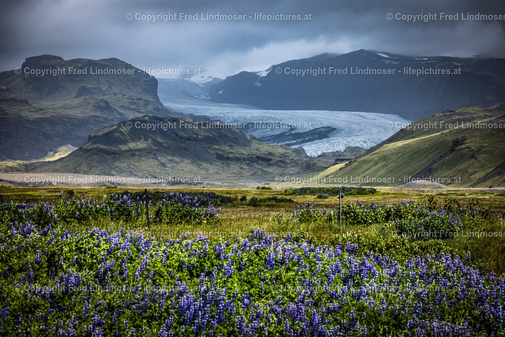 Island Juni 2022-0183 | Fotos und Fotoprodukte - Realisiert mit Pictrs.com