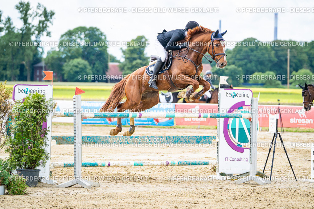 DSC04876 | Pferdegrafie