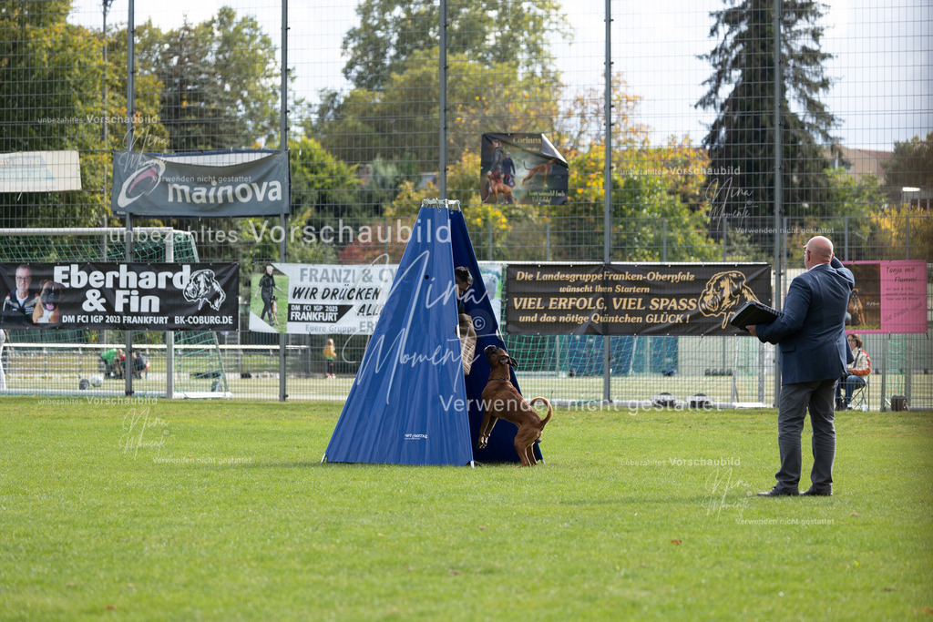 _16A7020 | Einzigartige Fotos von Hunden & Menschen –Actionfotos, Portraits, Vereinsaufnahmen & Paarshootings – authentisch, lebendig & mit Herz.