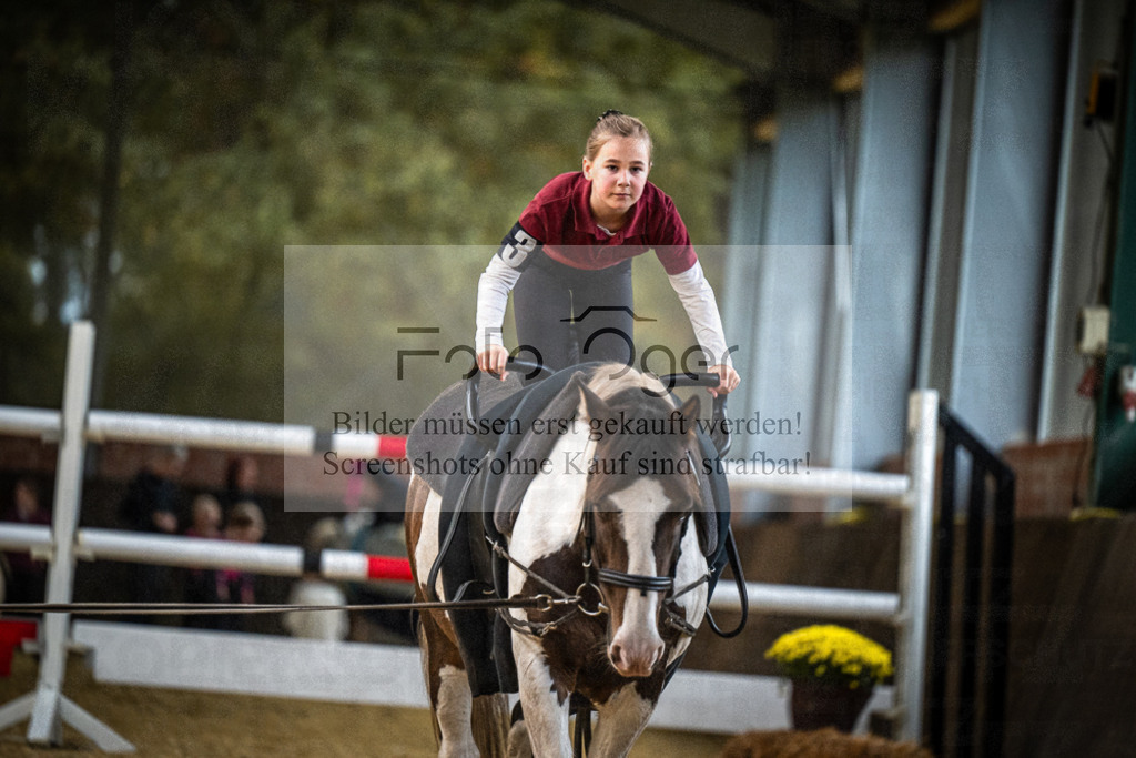 DOS_0084 | Entdecke hochwertige Reitturnierfotos von Foto Oger. Professionell, emotional und authentisch – jetzt Lieblingsmomente im Shop bestellen.Deutschlandweite Turnierfotografie. - Realisiert mit Pictrs.com