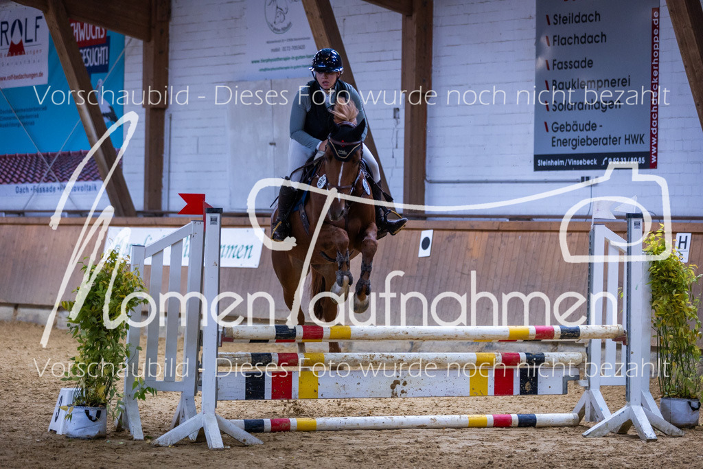 Sth-Gewöhnung-002 | MomenTaufnahmen Pferdesportfotos
