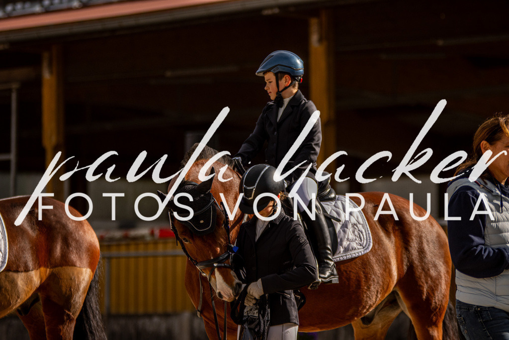 IMG_3864 | Erleben Sie dynamische Sport- und emotionale Tierfotografie in Süddeutschland mit Fotos von Paula. Spezialisiert auf Pferde- und Hundefotografie sowie Sportevents. Kontaktieren Sie mich für einzigartige und ausdrucksstarke Bilder Ihrer besonderen Momente.