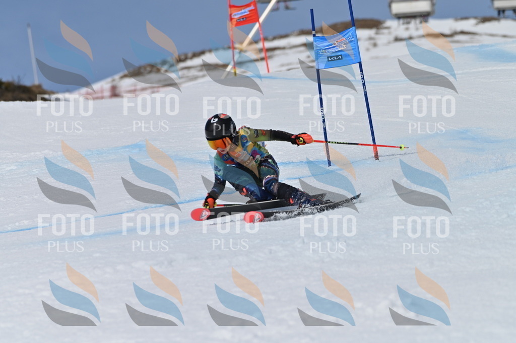 BGV_7218 | holidayphoto