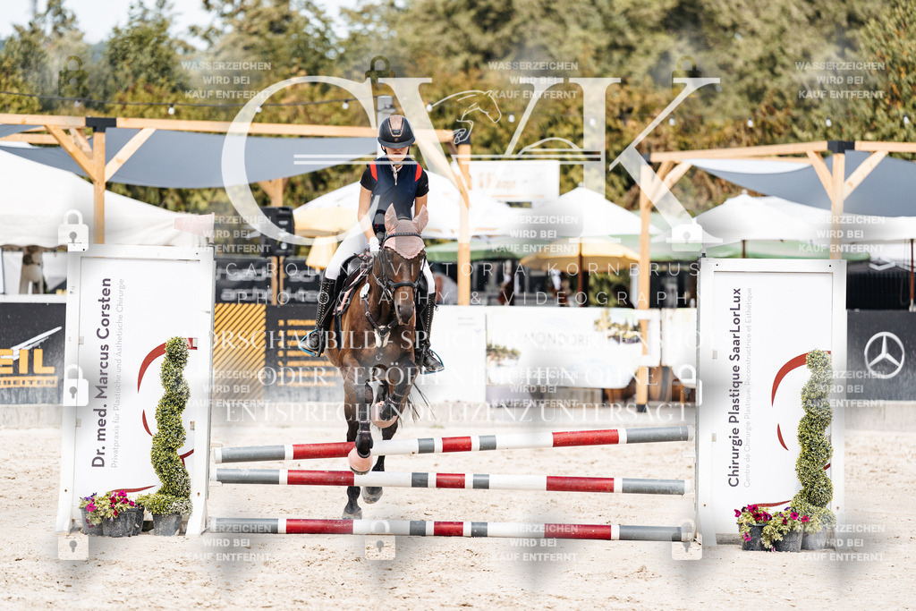 CK906703 | Turnierfotografie Pferdefotografie Trier Rheinland-Pfalz Pferdesport Reitsport Tierfotografie Sportfotografie Pferdevideo Pferdevideografie Equestrianvideography equestrianphotography  - Realisiert mit Pictrs.com