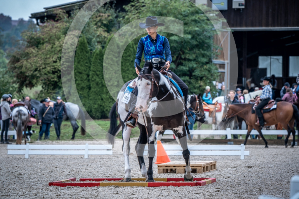 HEB08109 | BS-foto