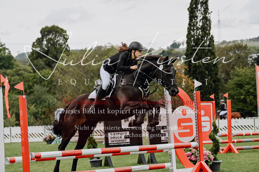 DSC_6845 | Pferde- und Turnierfotografie in Westsachsen. Pferdeportraits, Auftragszeichnungen und intuitive Kunst.