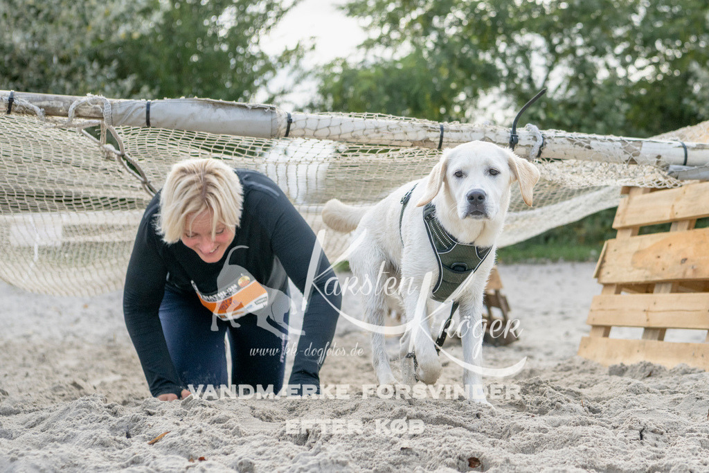 1215_ZZ90678 | kk-dogfotos