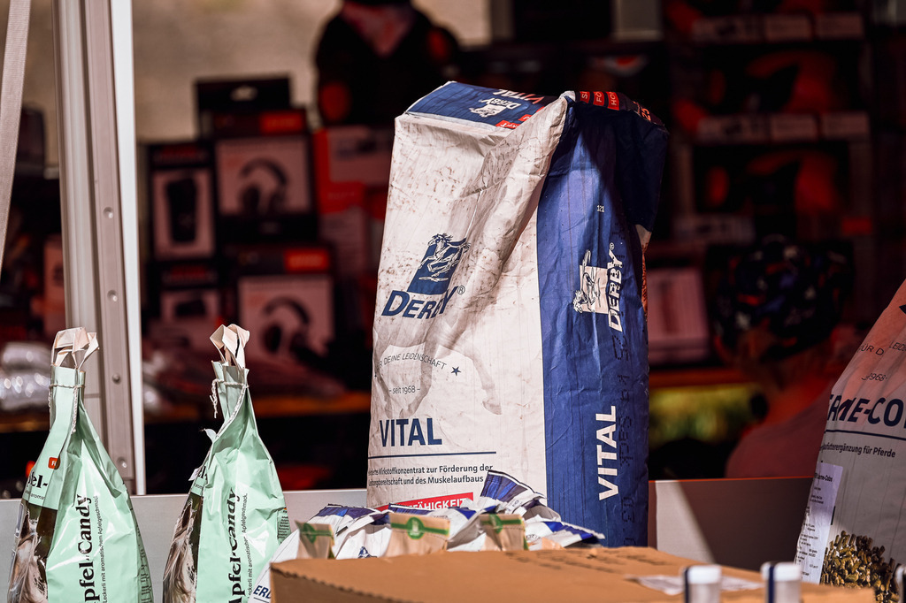 DSC_1217 | Pferde- und Turnierfotografie in Westsachsen. Pferdeportraits, Auftragszeichnungen und intuitive Kunst.