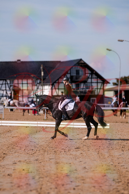 2026_10_03_Siefer-Hof_115442_Z81_94361578 | Professionelle Reitsport-, Turnier- und Eventfotografie von Robert Broda. Galerien mit ausgewählten und bearbeiteten Bildern direkt online ansehen und bestellen.