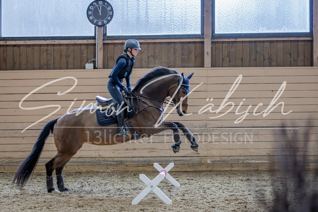 20260222-_3LI2202 | Tierfotografie Pferde, Hunde, Katzen, Haustiere.
Turnierfotografie Reitturniere, Reiten, Springreiten, Dressur in Hanau, dem Main-Kinzig-Kreis und dem Rhein-Main- Gebiet um Frankfurt