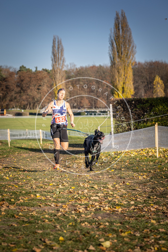 CaniXpix_DV3A1113 | Hundefotografie, Tierfotograf, Pfotenfotografie, Fotoshooting Hund, Hunde Portrait, Hundesport, Hundeportraits, Heideshooting, Hunde, Sportfotograf, Hundefotograf, Turnierhundsport, THS,  - Realisiert mit Pictrs.com