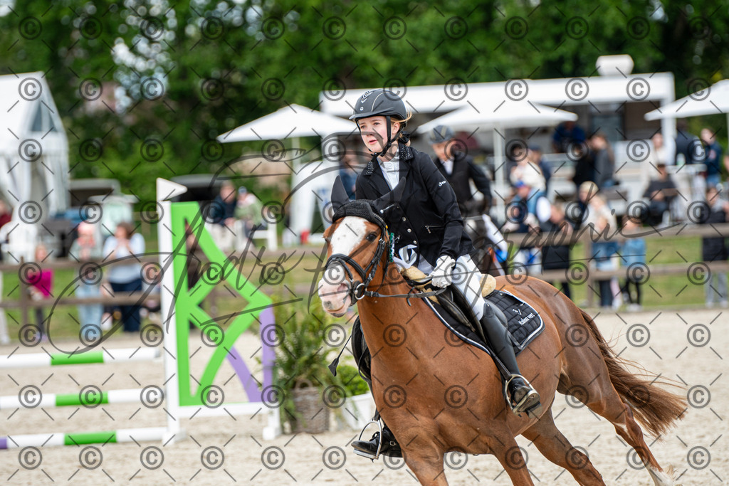 KPT_6453 | andre_photographic