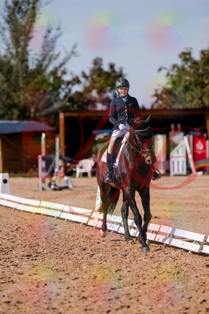 2026_10_03_Siefer-Hof_133812_Z81_94831624 | Professionelle Reitsport-, Turnier- und Eventfotografie von Robert Broda. Galerien mit ausgewählten und bearbeiteten Bildern direkt online ansehen und bestellen.
