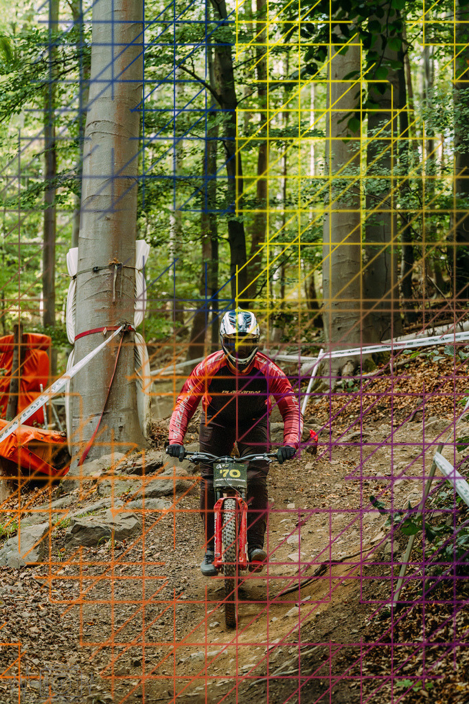 PAE-2482 | Einzigartige Fotokunst für dein Zuhause: Entdecke hochwertige Wandbilder, edle Prints und emotionale Motive von Wildlife, Natur und Landschaften - Realisiert mit Pictrs.com