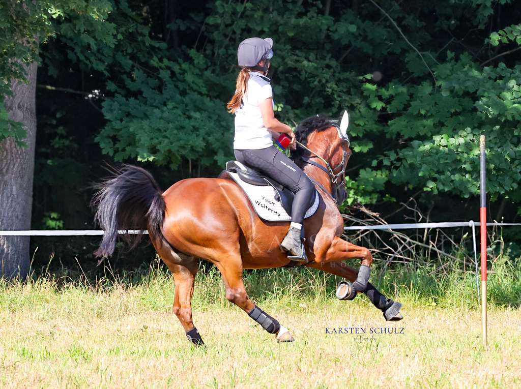 1B3A8130 | Reitsport Reiten