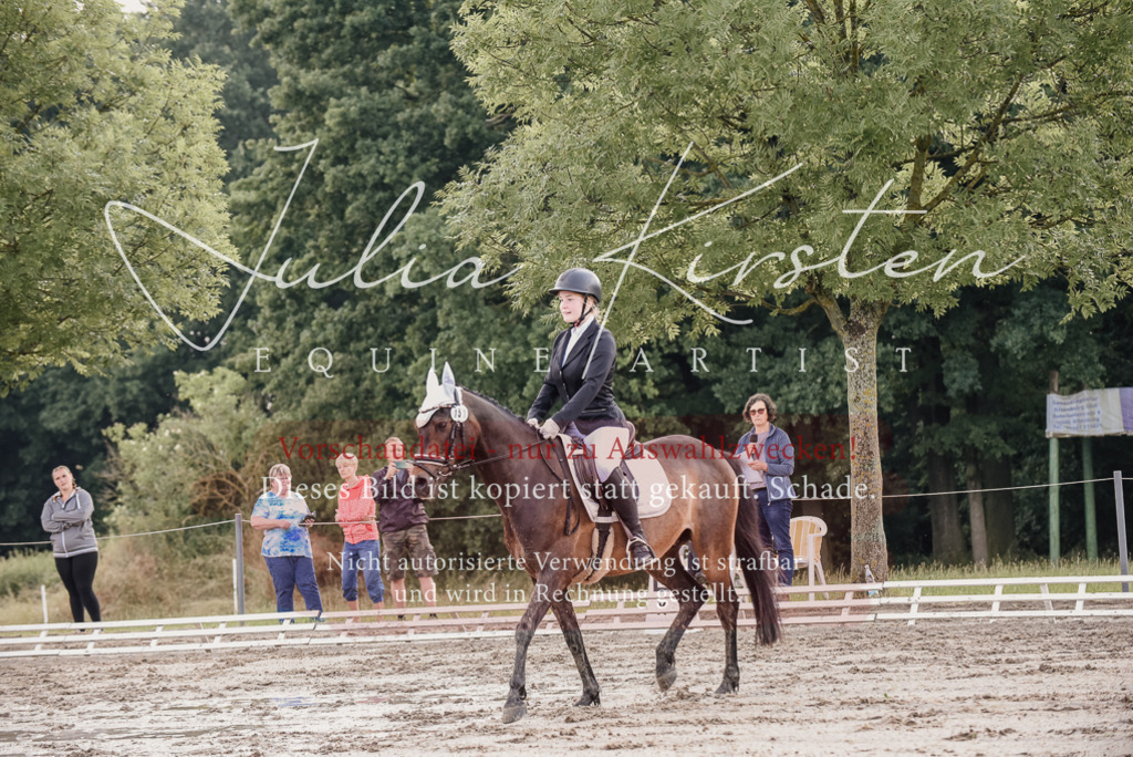 DSC_8181 | Pferde- und Turnierfotografie in Westsachsen. Pferdeportraits, Auftragszeichnungen und intuitive Kunst.