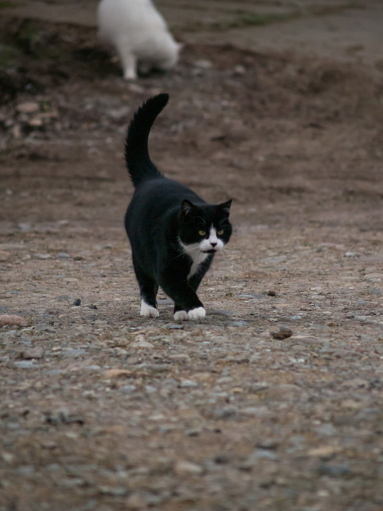 PSX_20230116_225459 | OLYMPUS DIGITAL CAMERA - Realisiert mit Pictrs.com