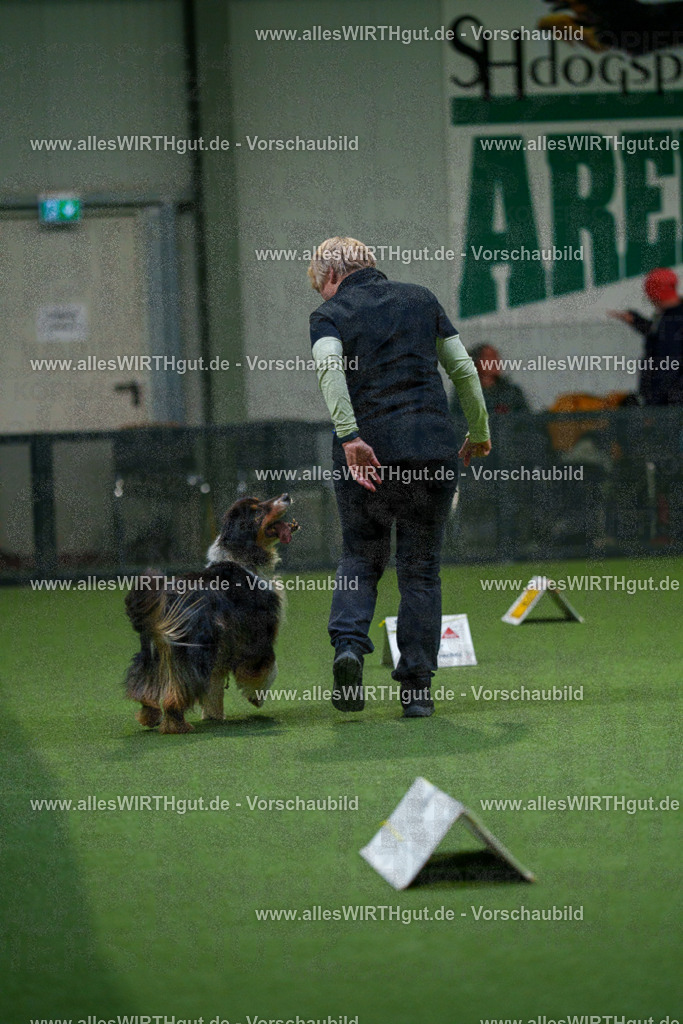 7R504256 | Professionelle Tierfotografie in Mönchengladbach von Daniel Wirth (allesWIRTHgut). Liebevolle & natürliche Bilder von Hunden & Katzen für unvergessliche Erinnerungen.