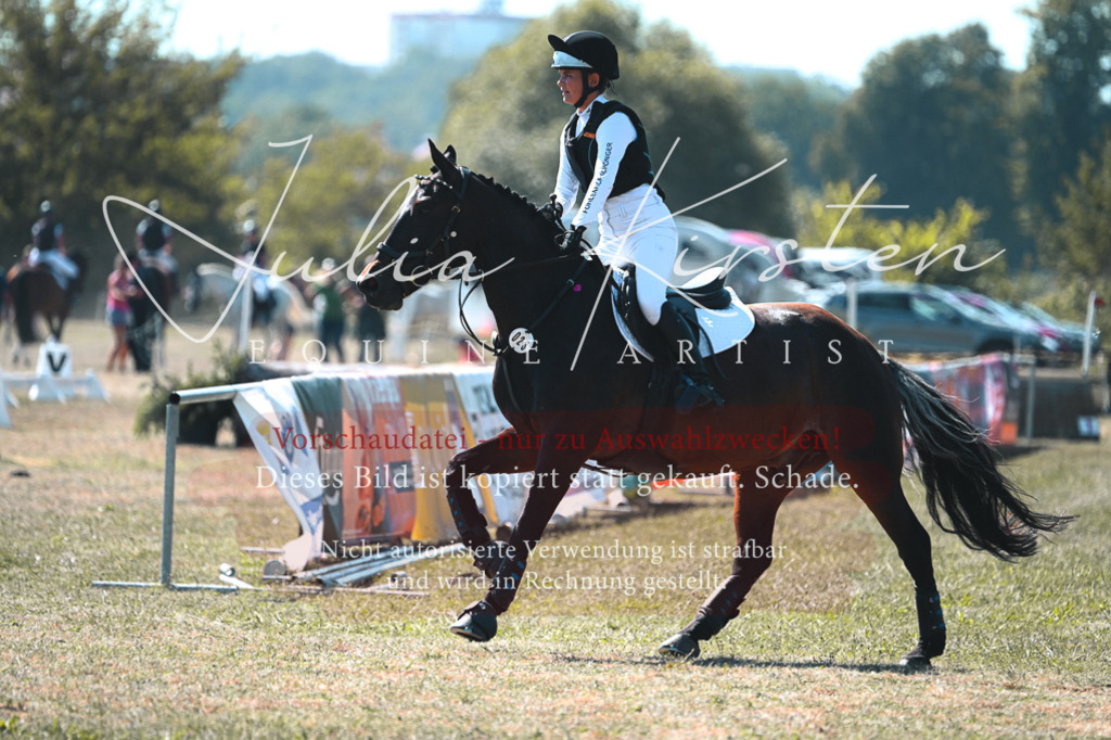 DSC_8207 | Pferde- und Turnierfotografie in Westsachsen. Pferdeportraits, Auftragszeichnungen und intuitive Kunst.