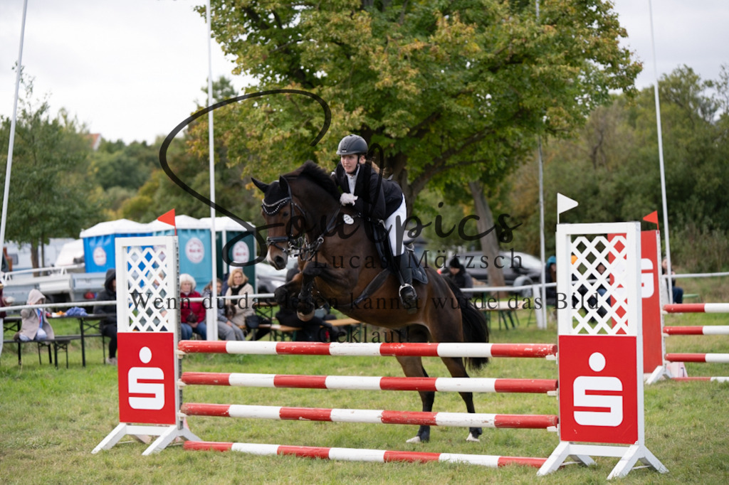 A7V06802 | Pferdefotograf