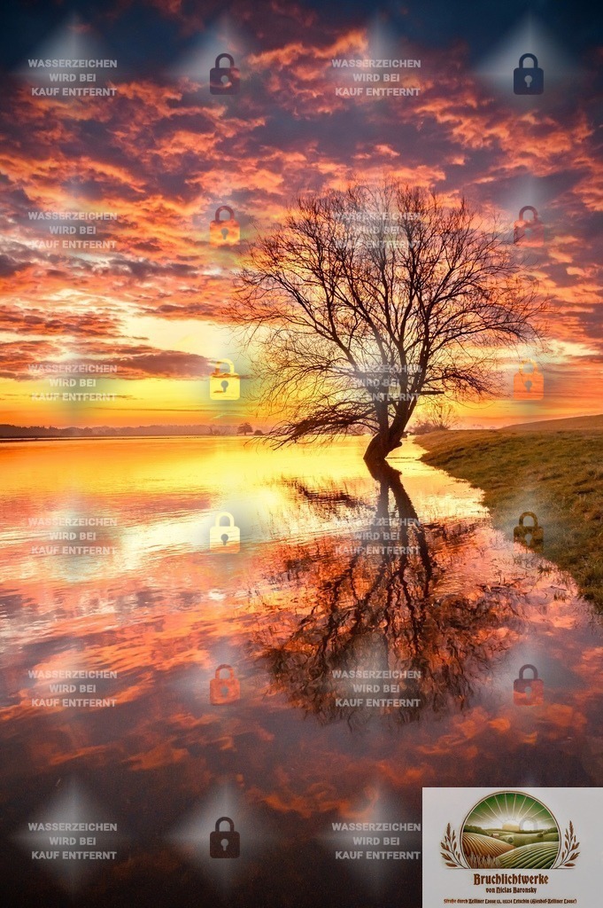 Feuerbruch | Landschaftsfotografie aus dem Oderbruch: Fine-Art-Prints im Shop, Fotoworkshops und ausgewählte Hochzeiten in Märkisch-Oderland & Oder-Spree.