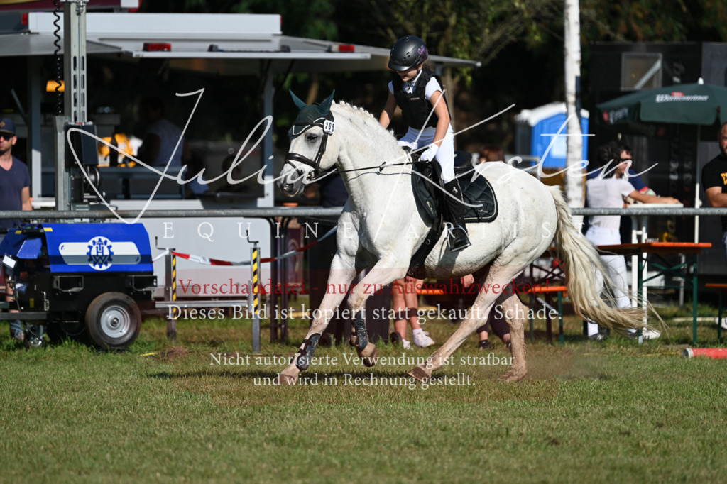 DSC_5203 | Pferde- und Turnierfotografie in Westsachsen. Pferdeportraits, Auftragszeichnungen und intuitive Kunst.