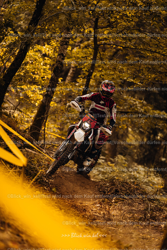 E68A3933 | blick_win_kel