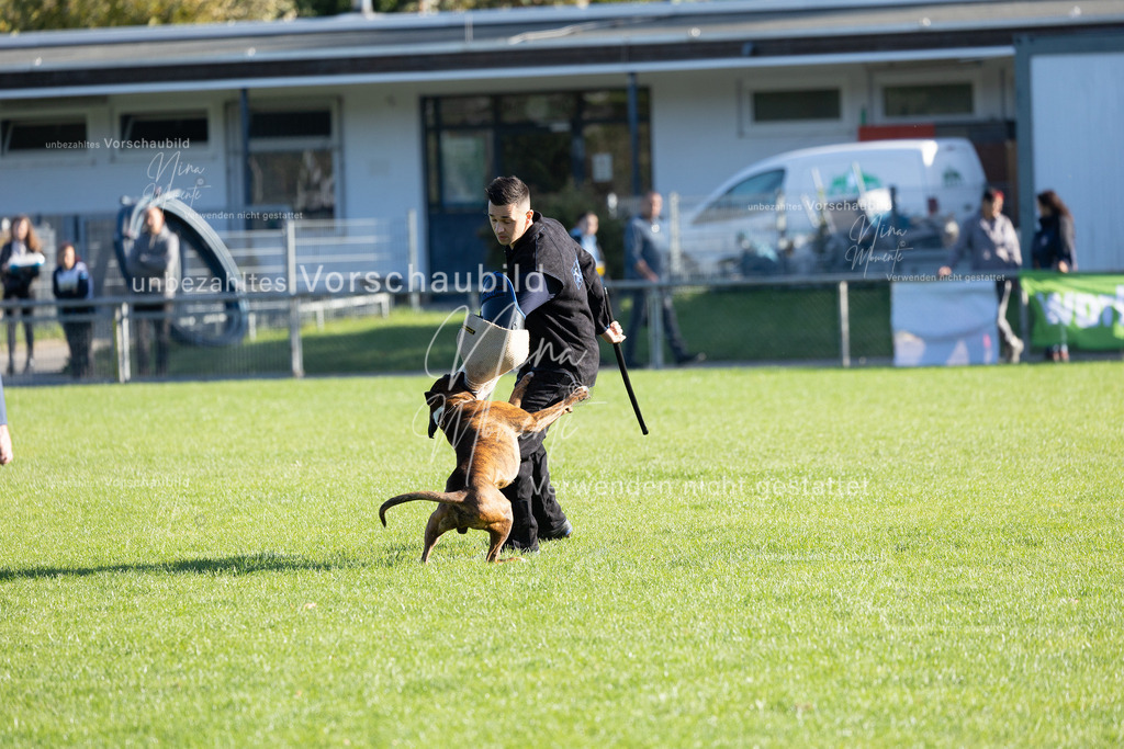 _16A5017 | Einzigartige Fotos von Hunden & Menschen –Actionfotos, Portraits, Vereinsaufnahmen & Paarshootings – authentisch, lebendig & mit Herz.