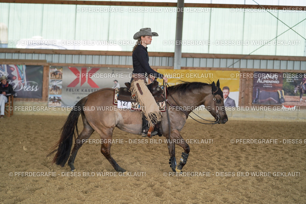 DSC00387 | Pferdegrafie