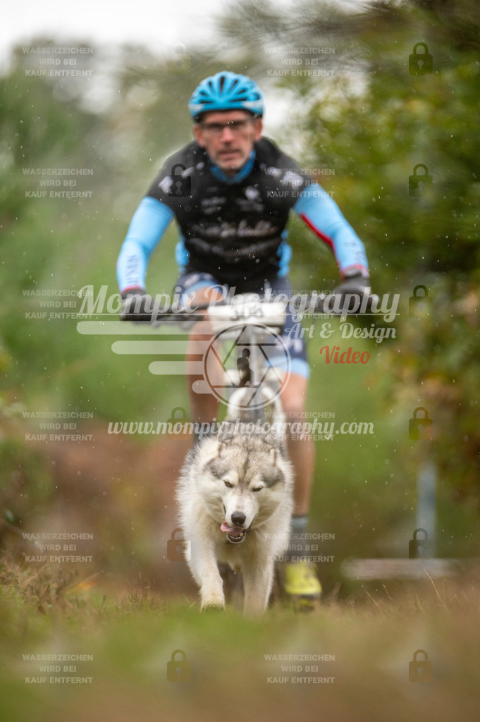 TSB_2023_E5_Bike-36 | PayLife