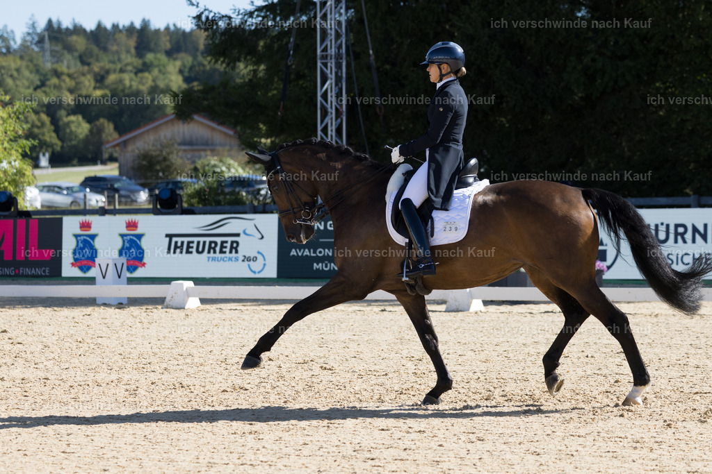 FHC2026_P07_239_17676 | working equitationturnier fotograf videograf stoibphotography marixx film working equitation deutschland reitsport turnierfotografie eventfotografie equestrian events