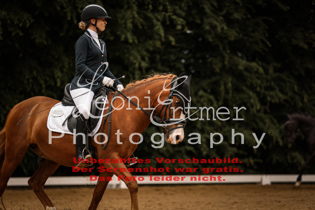 DoDrE00213 | Leoni Ertmer Photography - Realisiert mit Pictrs.com