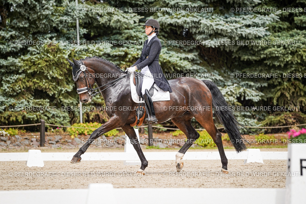 DSC06739 | Pferdegrafie