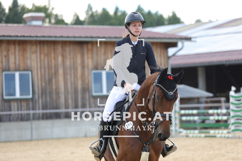 0P6A5130 | Willkommen bei Brunnmayr - Design & Fotografie – Ihrem Spezialisten für Reitturniere und Pferdeveranstaltungen in Oberösterreich, Salzburg und Bayern! Seit über 17 Jahren sind wir leidenschaftlich dabei.