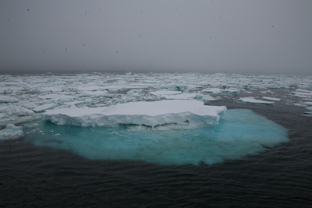 IMG_5992 | Antarktis / Antarctica - Realisiert mit Pictrs.com