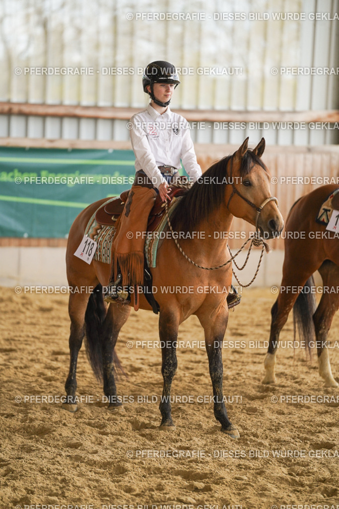 DSC09349 | Pferdegrafie