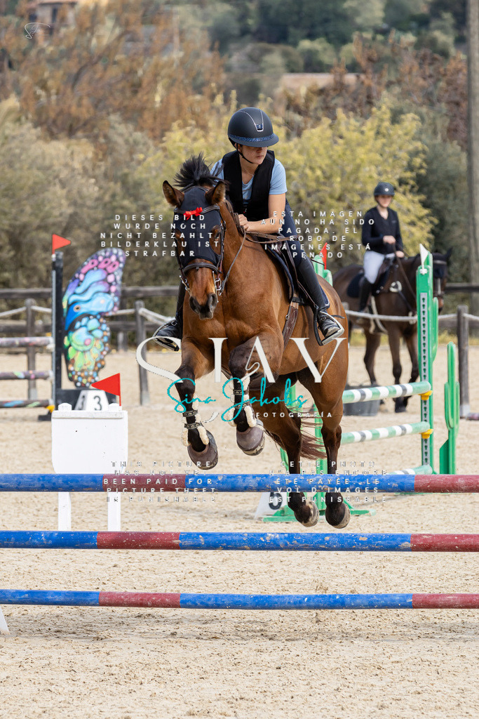 IMG_3528 | s-jay-photography - Realisiert mit Pictrs.com