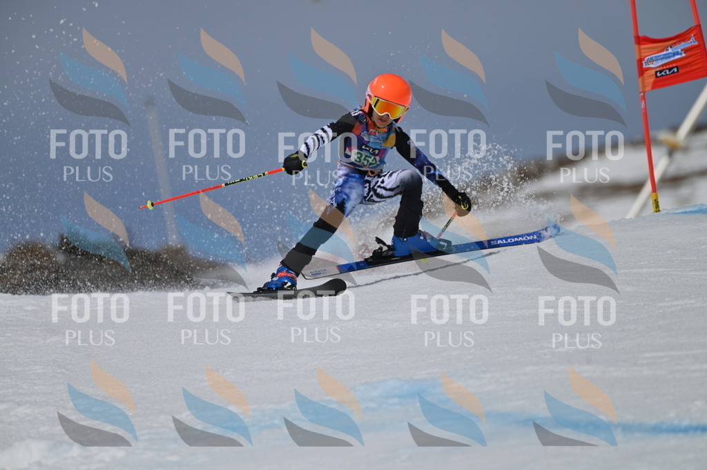 BGV_6919 | holidayphoto