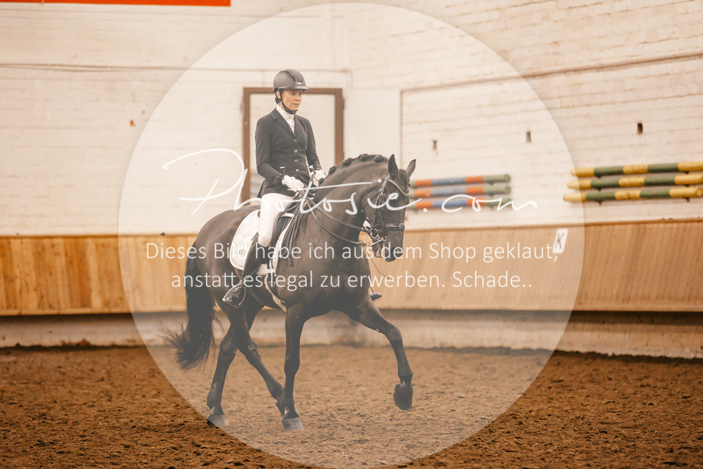 3I6A2862 | Stimmungsvolle Portraits und Reitsportfotografie im Ruhrgebiet und im Münsterland.

Pferdefotografie, Hundefotografie, Tierfotografie, Reportagen, Portraits von Tier und Mensch, Turnierfotografie in Bochum, Recklinghausen, Marl, Haltern am See, Dülmen.. - Realisiert mit Pictrs.com