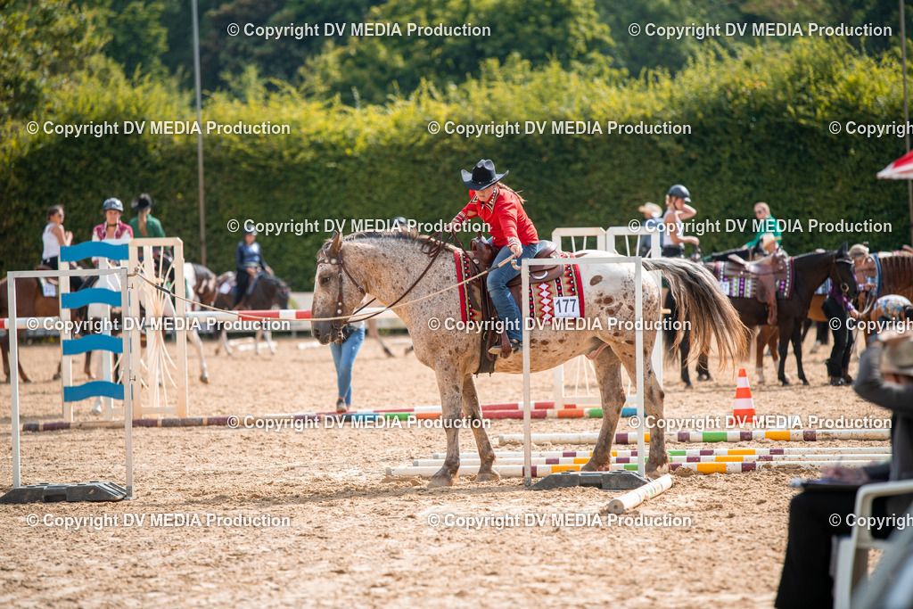 ZS2_7631 | dv-media-shop - Realisiert mit Pictrs.com