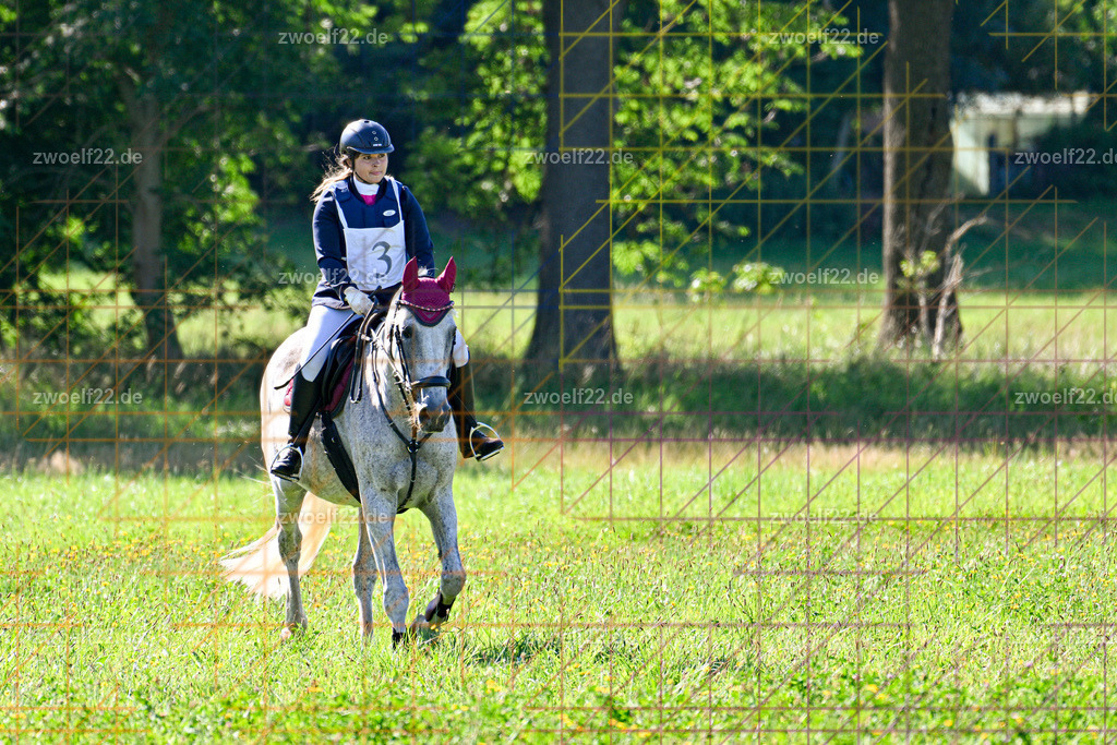 30 Jahre RFV Pulsnitz e.V., Pulsnitz am 09.08.2026 | 30Jahre Reit- und Fahrverein Pulsnitz e.V., Pulsnitz am 08.08.2026, Zur 28. breitensportlichen Veranstaltung des RFV Pulsnitz e.V. fanden verschiedene Wettbewerbe in nahezu allen Disziplinen des Pferdesport statt.- Gelände-Reitwettbewerb für Einsteiger - Realisiert mit Pictrs.com