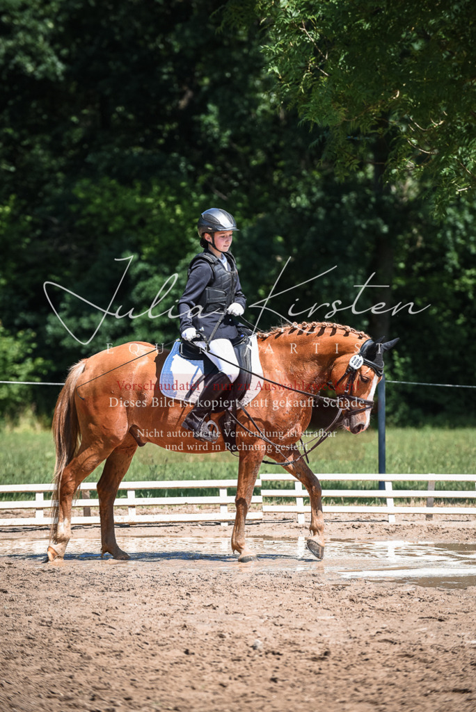 DSC_3240 | Pferde- und Turnierfotografie in Westsachsen. Pferdeportraits, Auftragszeichnungen und intuitive Kunst.