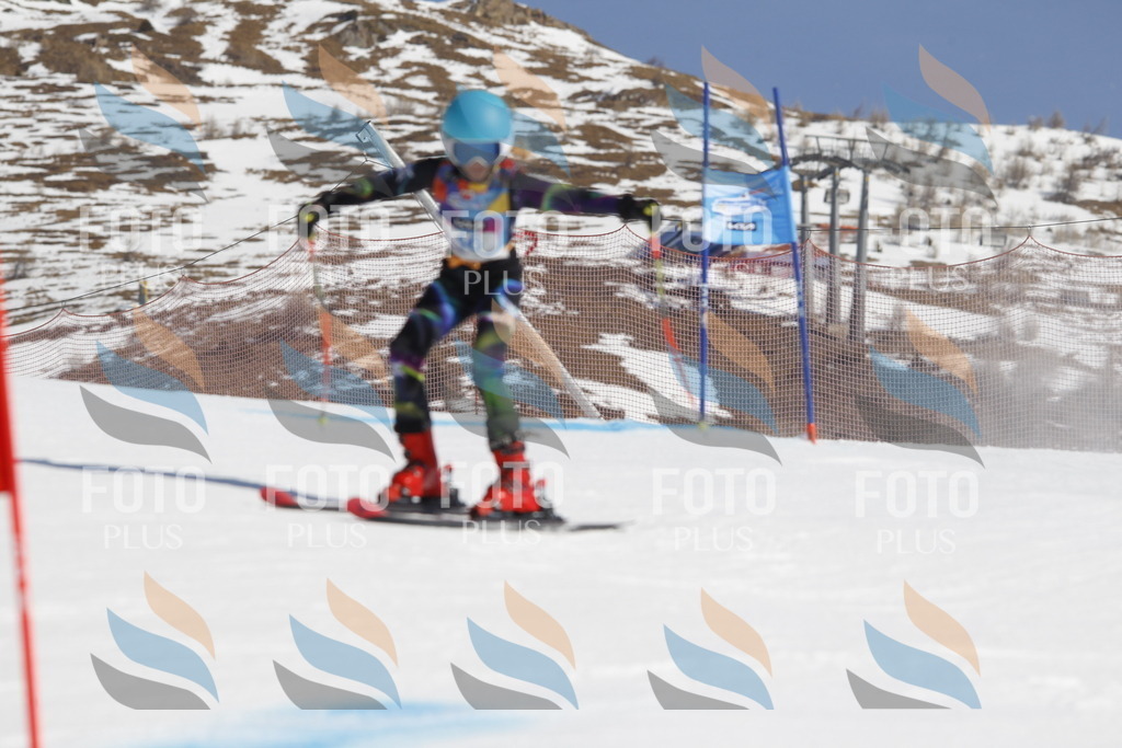 _U3G9327 | holidayphoto